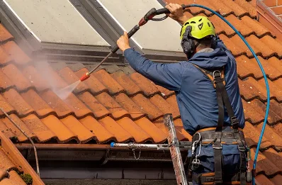 Démoussage et hydrofuge de toiture à Ruffieu